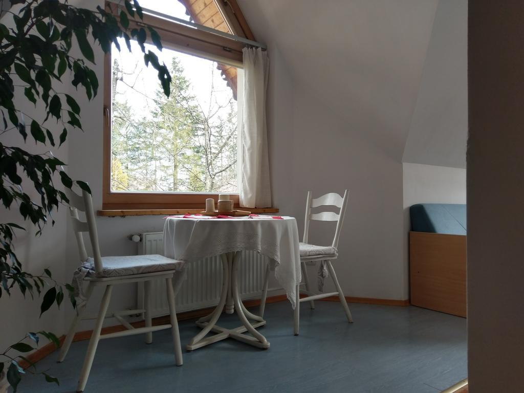 Apartamencik Z Widokiem Na Giewont Zakopane Exterior photo